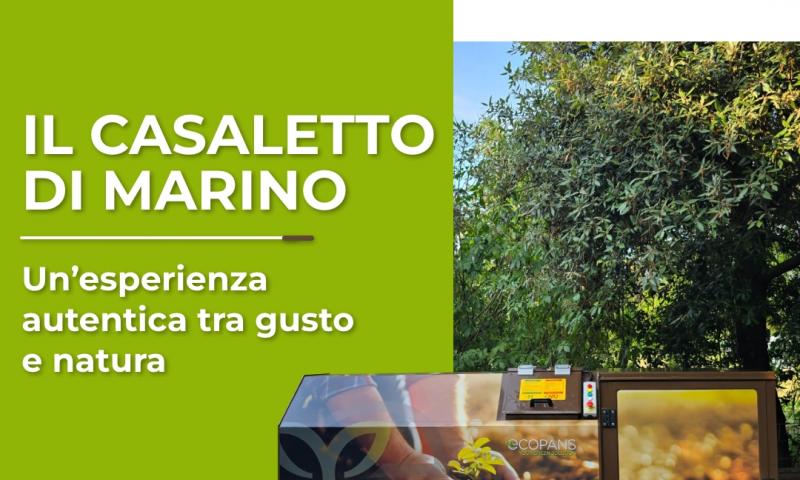 Ristorante Il Casaletto di Marino (RM) - Gusto, natura e sostenibilità